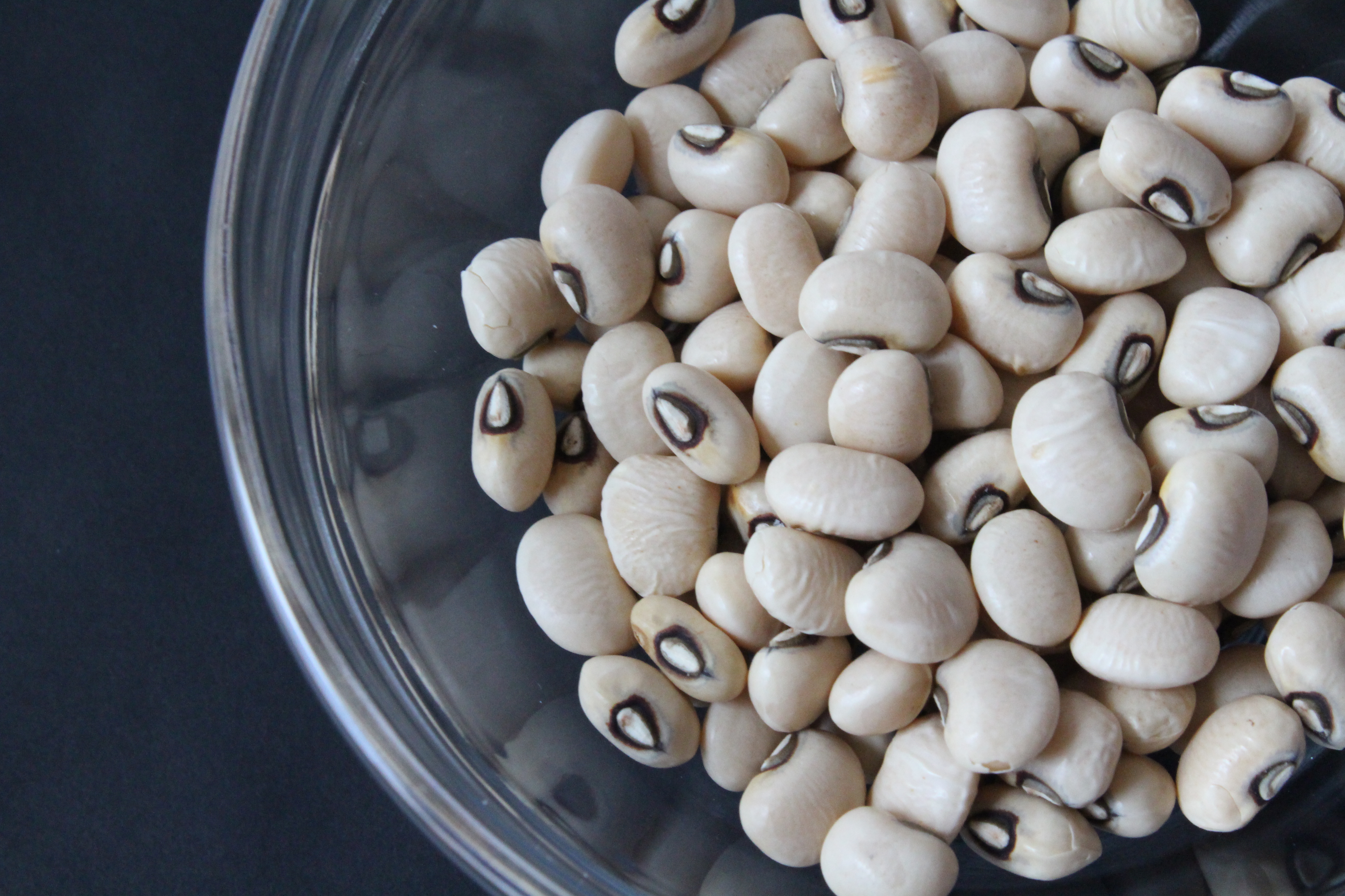 白大豆（ソイ）のイメージ