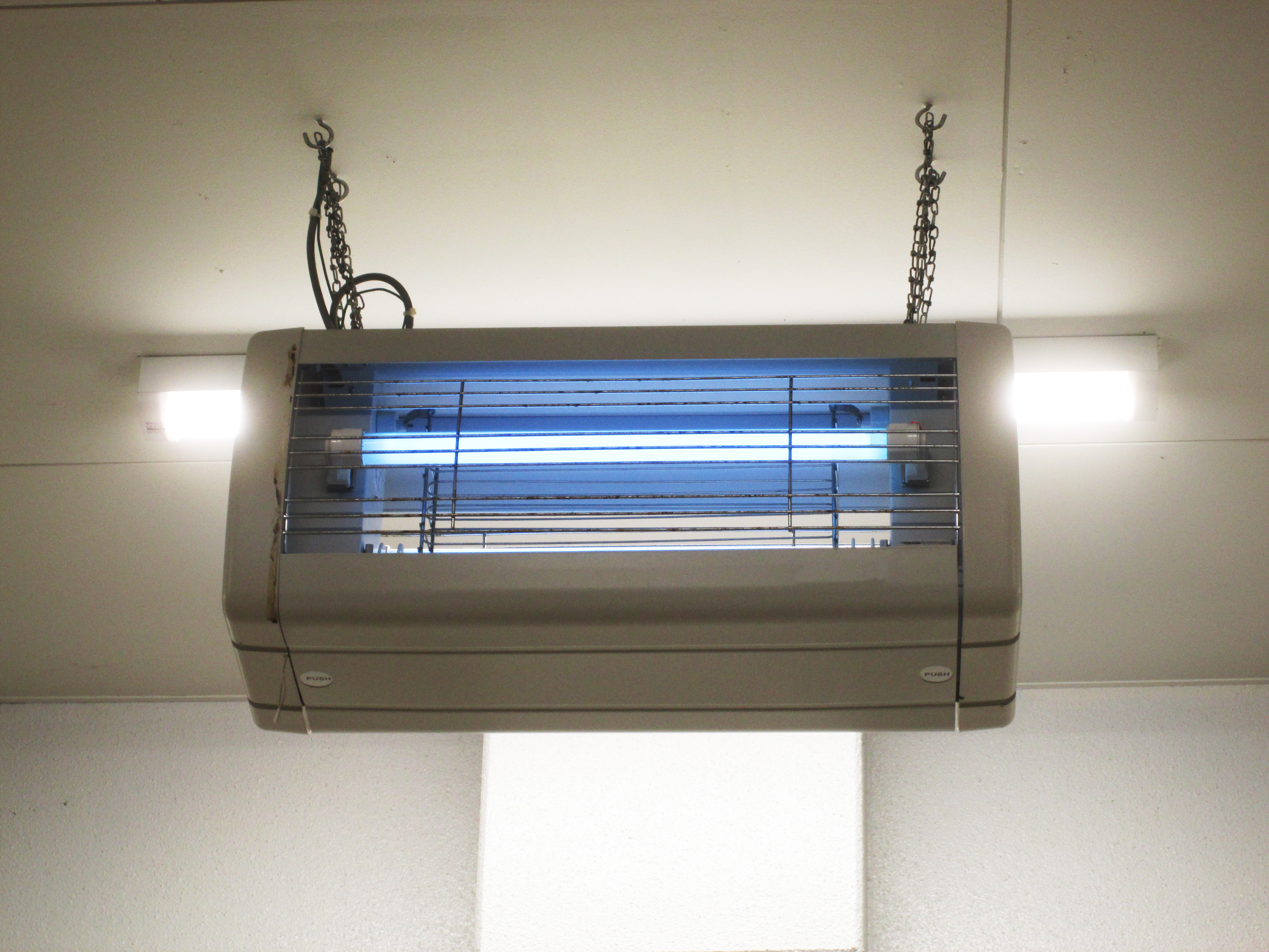 ネズミのイメージ