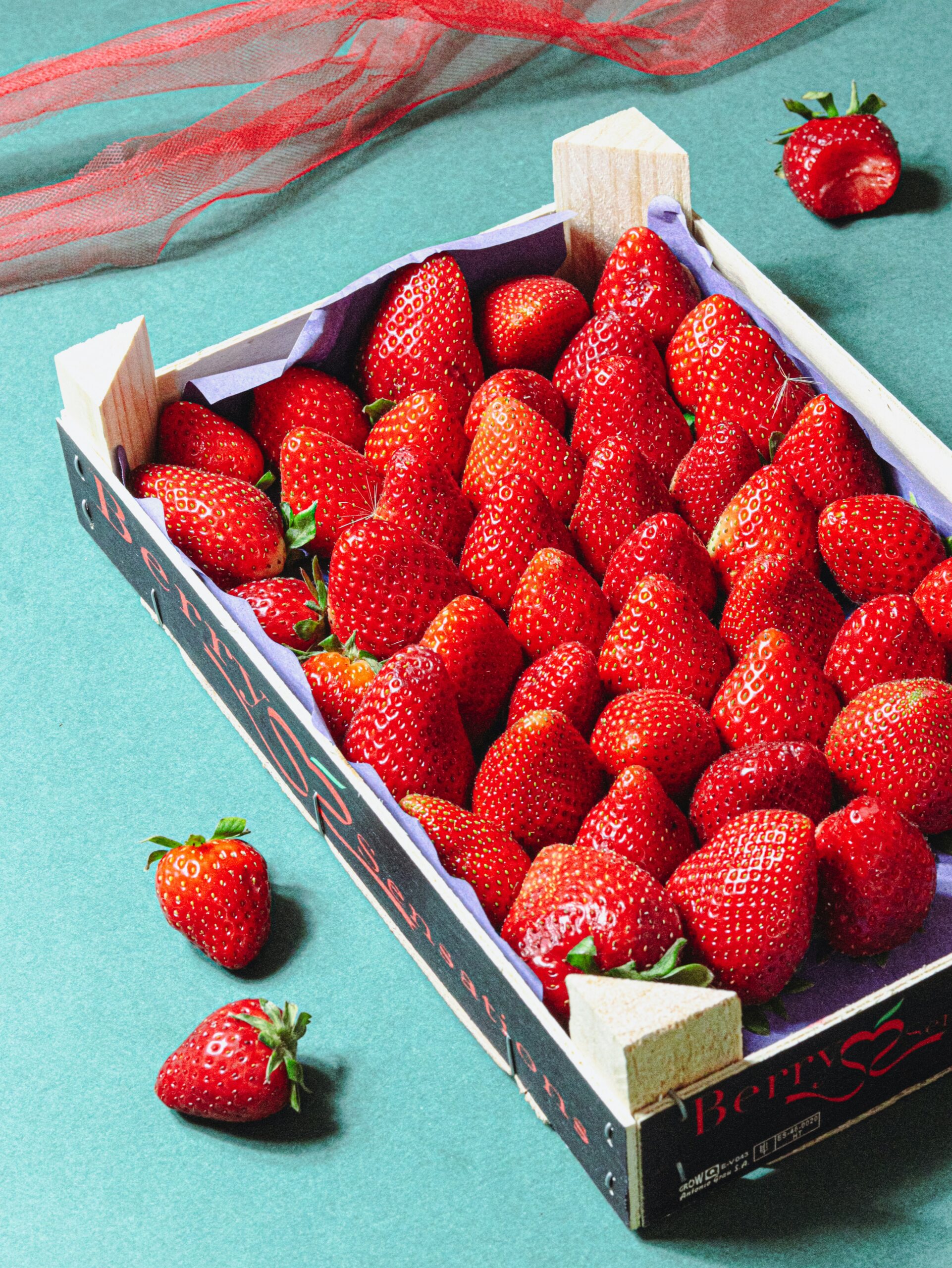 フルーツ輸出と南米コンテナ