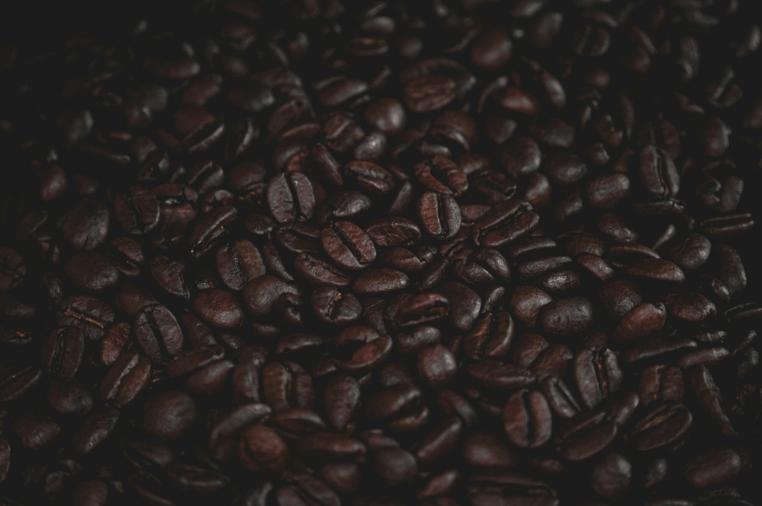 ロブスタ種のコーヒー豆