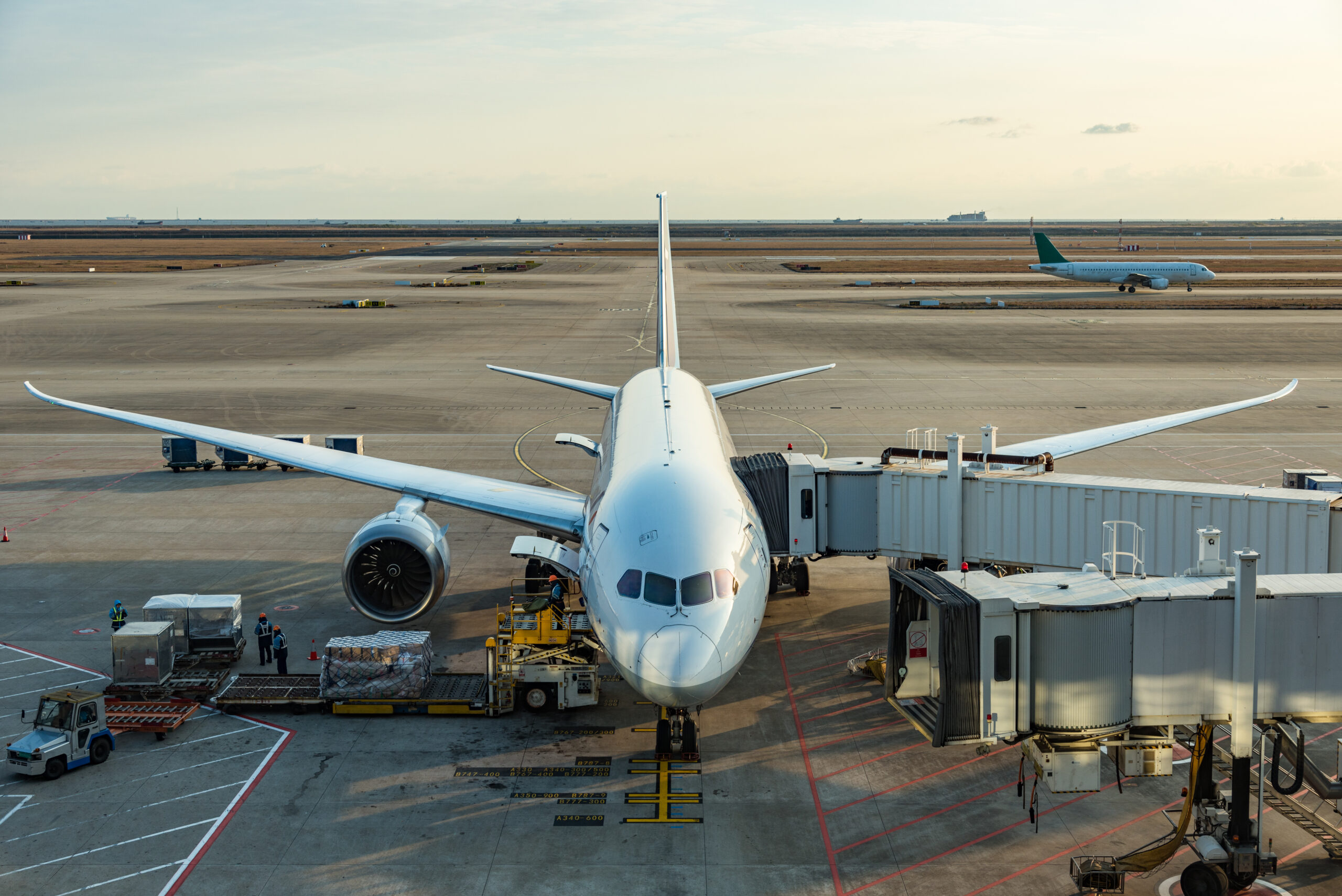 空港の駐機場で貨物の積み込み作業が行われている大型航空機